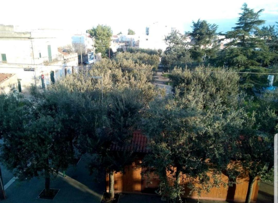 "La Casa Di Mariagrazia" Rooms Con Cucina Condivisa E Terrazza Sammichele Di Bari Eksteriør billede